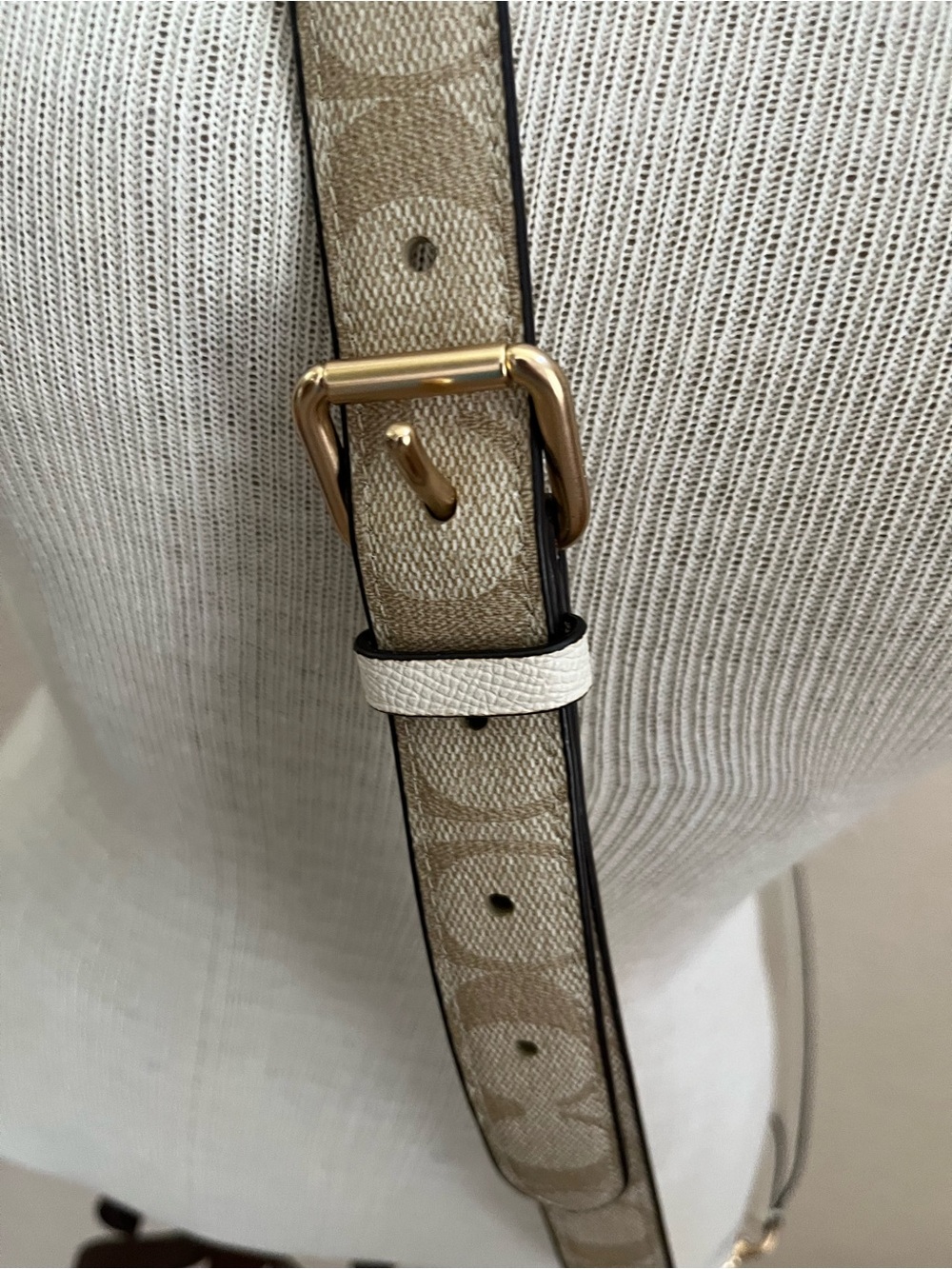 Coach Signature Strap - Picture 4 of 7